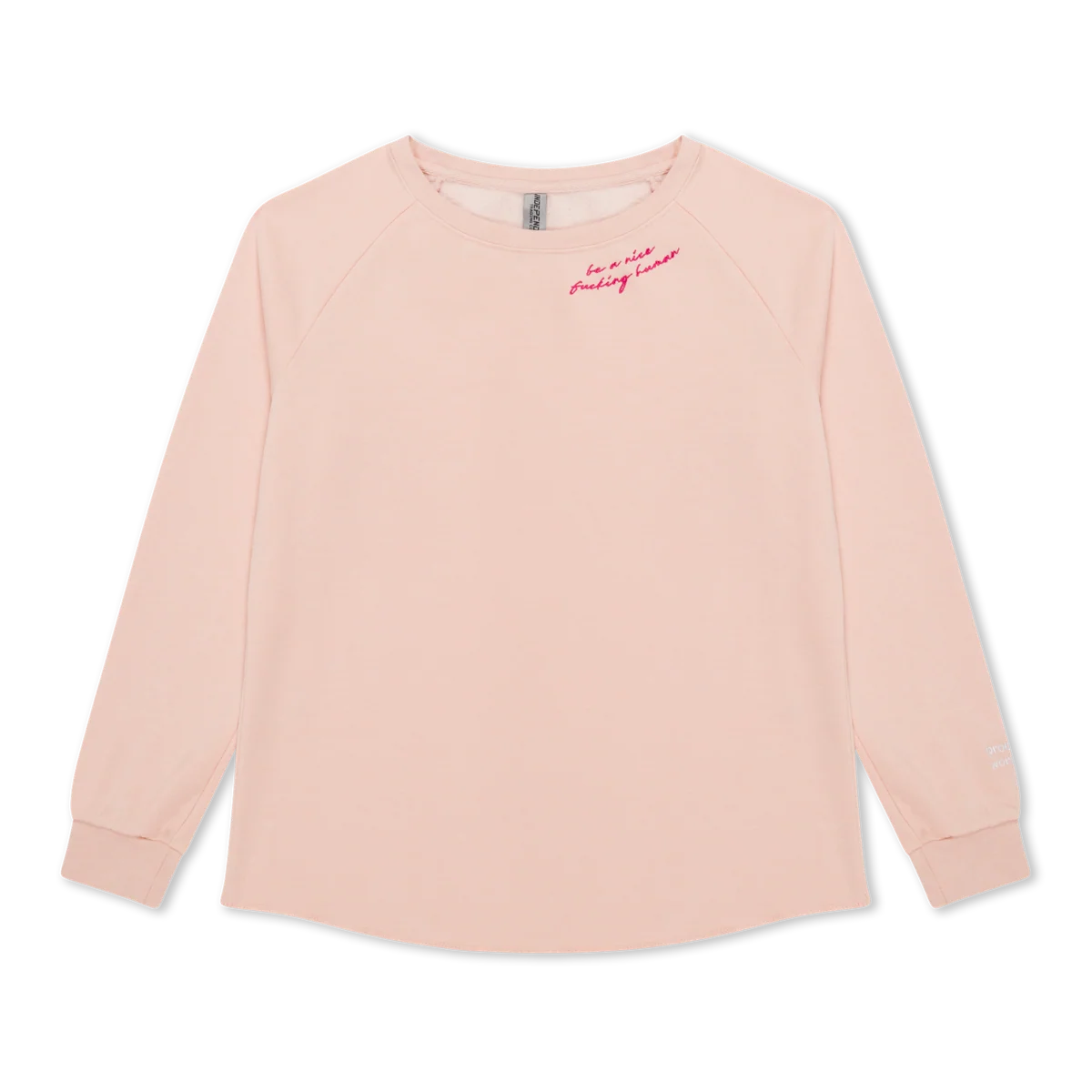 Be A Nice Human Crewneck